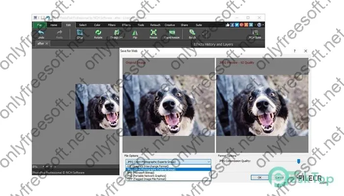 Nch Photopad Image Editor Professional Crack